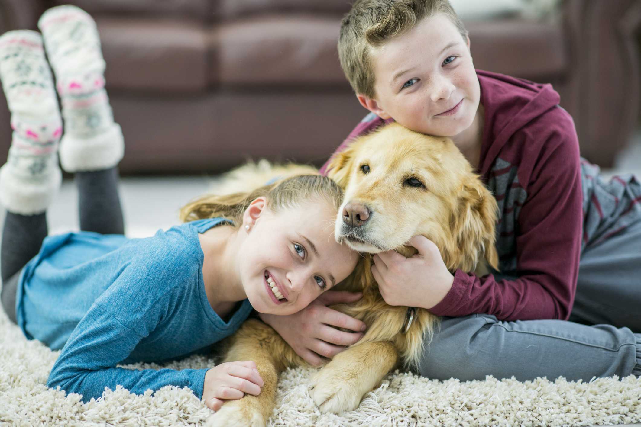 Golden retriever with two children lying on a rug, smiling and enjoying time together in a cozy indoor setting.